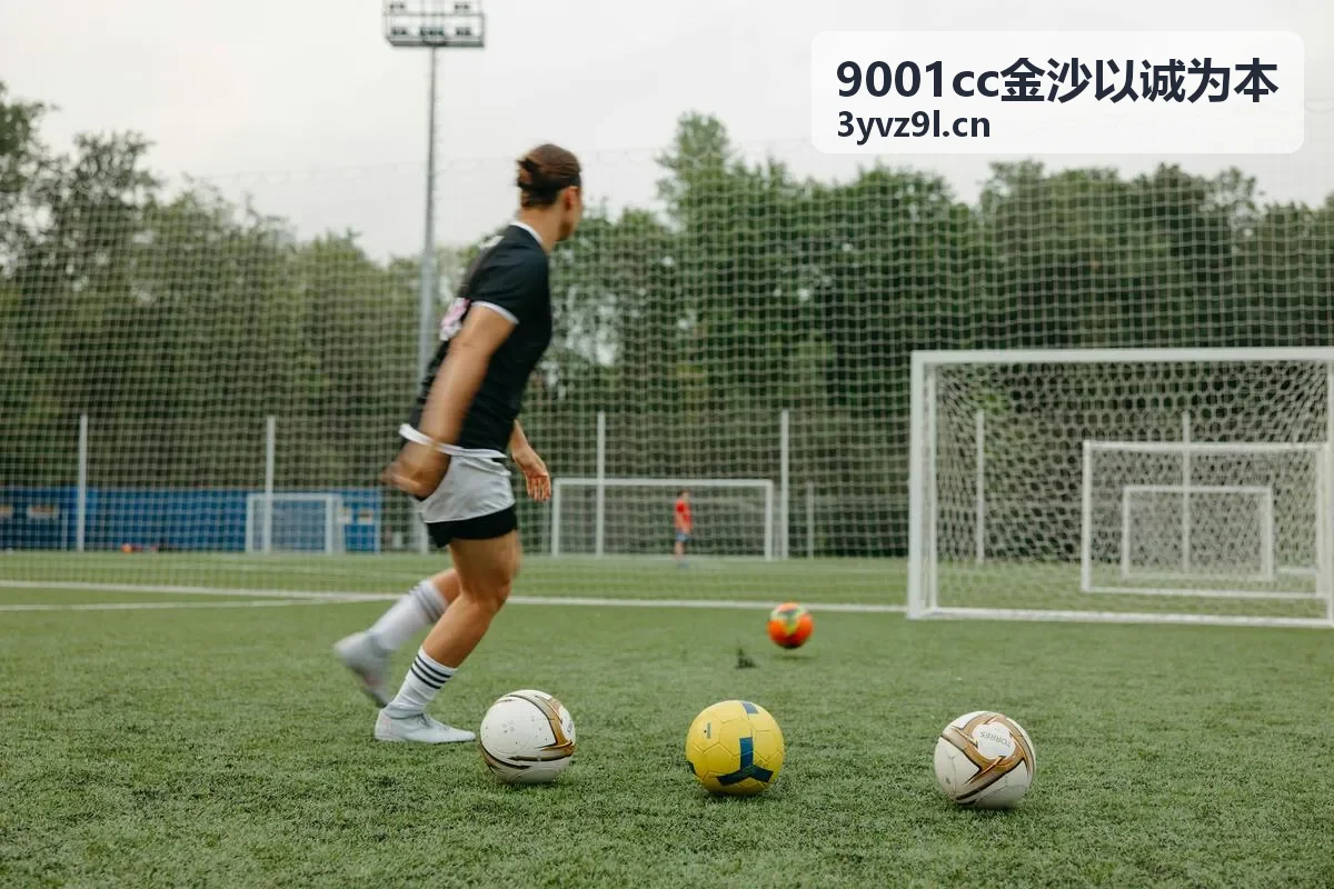 9001cc金沙以诚为本信用管理方案适用行业与企业类型